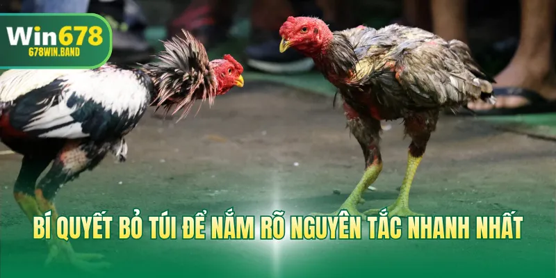 Bí quyết bỏ túi để nắm rõ nguyên tắc nhanh nhất