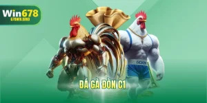 Đá Gà Đòn C1 - Xem Live Siêu Nét, Cách Cược Thắng